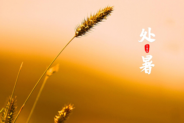 _(d)C(j)е | ɢğ